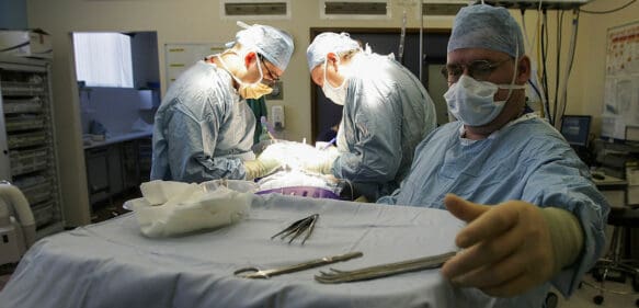 En  EE.UU. proponen reducir las sentencias de los presos por donar sus órganos