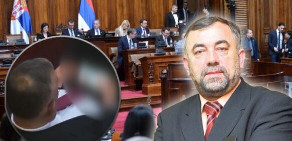Diputado serbio renuncia por haber mirado porno en el parlamento