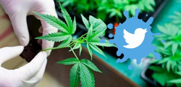 Twitter se convierte en la primera plataforma en permitir anuncios de marihuana