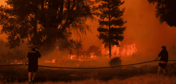 Incendios en Chile dejan más de 20 muertos, casi 1,000 heridos y 800 viviendas destruidas