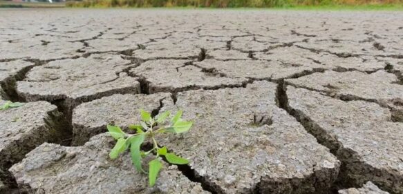 Preocupa sequía por la que pasa el país