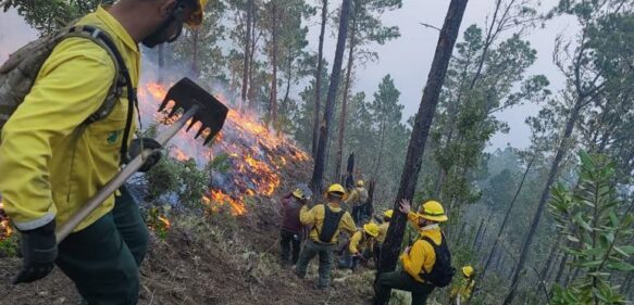 Tras siete días incendio forestal continúa en Valle Nuevo,  Constanza