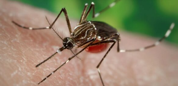 Salud Pública emite alerta sobre posible reaparición de Chikungunya en el país