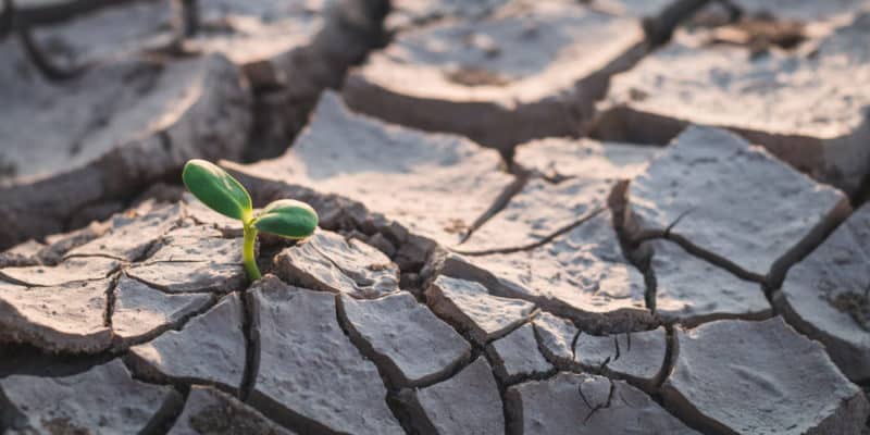 INDRHI evalúa constantemente comportamiento de sequía estacional para mitigar pérdidas 