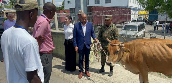 #VIDEO: Consulado entrega vaca a ganadero haitiano recuperada en territorio Dominicano