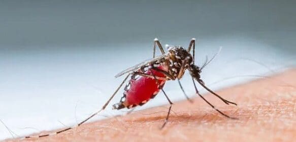 25 de abril: Día Mundial del Paludismo