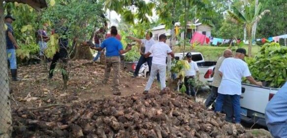 Ministerio de Agricultura entregó plantas a productores de Arroyo al Medio