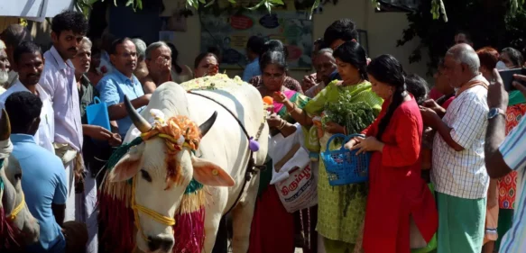 Linchan a un hombre en India por contrabando de carne de vaca