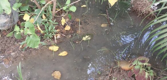 #VIDEO | Moradores del Vista del Río en San Juan de la Maguana reportan problemática en el registro de drenaje