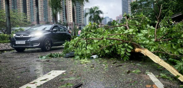 Uno de los más fuertes desde 1949: el tifón Saola arrasa el sur de China
