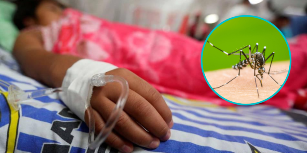 Fallece niña de 11 años con síntomas de dengue en Dajabón