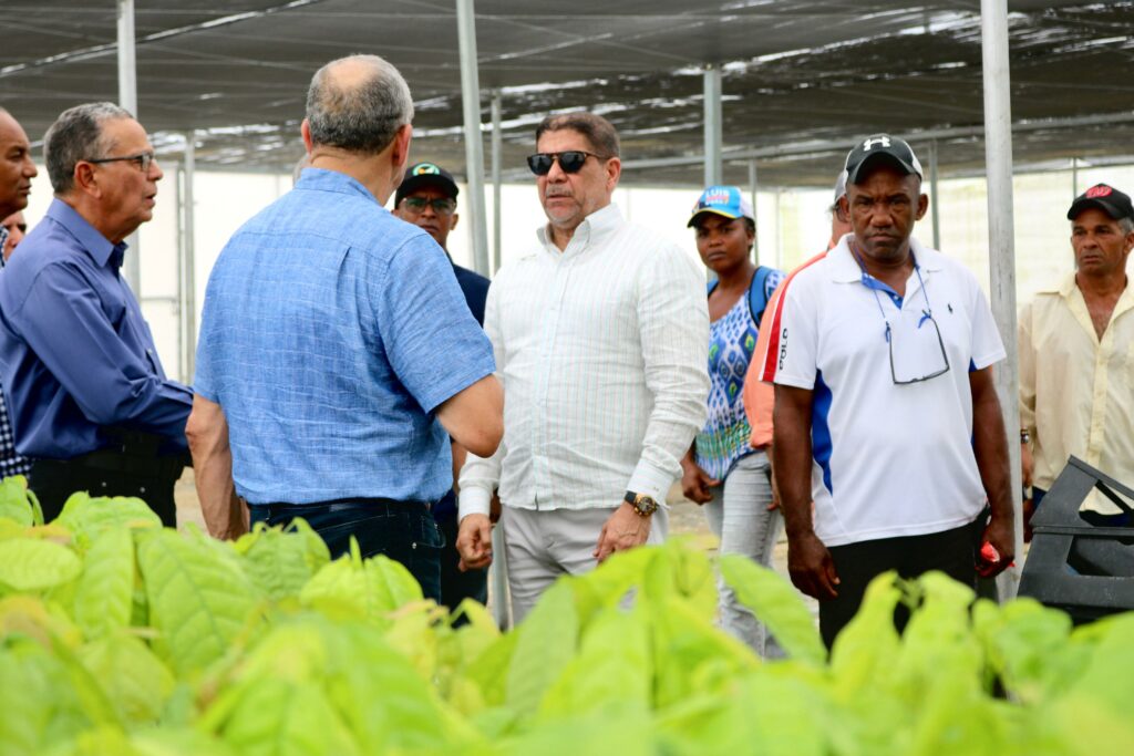 Agricultura impulsa producción cacao en el Este