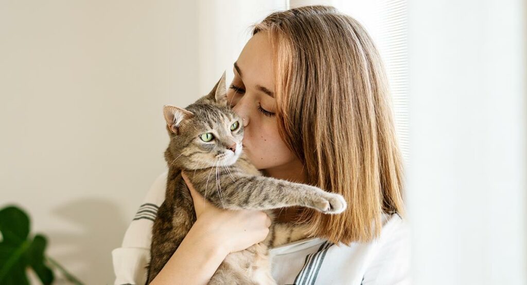 Dia Internacional del Gato conozca por que se celebra tres veces al ano 2