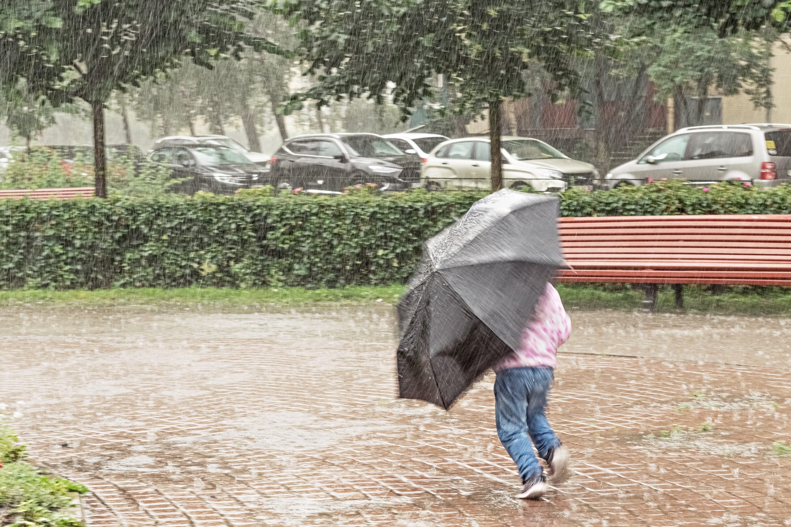 Se esperan aguaceros y temperaturas calurosas por incidencia de onda tropical