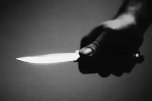 Una mujer identificada como Lourdes Penélope Pérez cortó la noche del viernes parte del cráneo de su propia hija de 7 años con un arma blanca, lo que provocó que la menor fuera trasladada a la emergencia a un centro de salud.