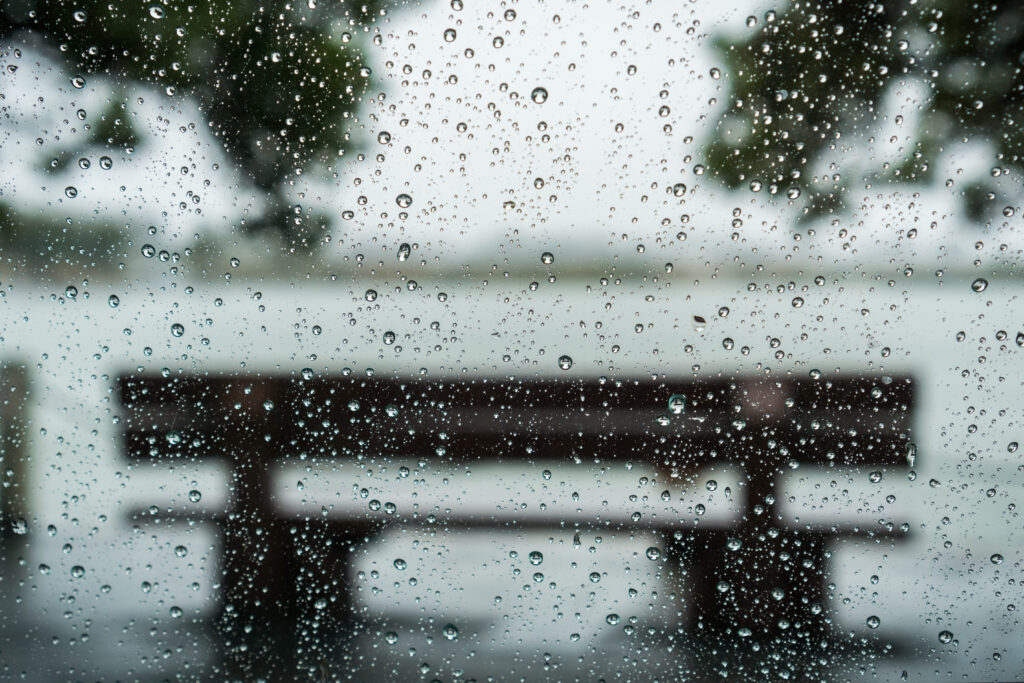 bench in the rain 2023 11 27 05 30 08 utc