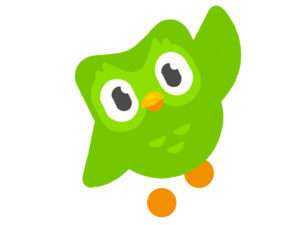  El Búho de Duolingo ha muerto; el simpático animal despareció