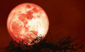 Eclipse total de Luna visible en RD el 13 y 14 de marzo de 2025