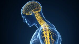 Diez hábitos simples ayudan a prevenir la demencia y el deterioro cognitivo