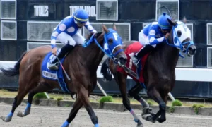 Habrá carreras de caballos hoy y el jueves de Semana Santa