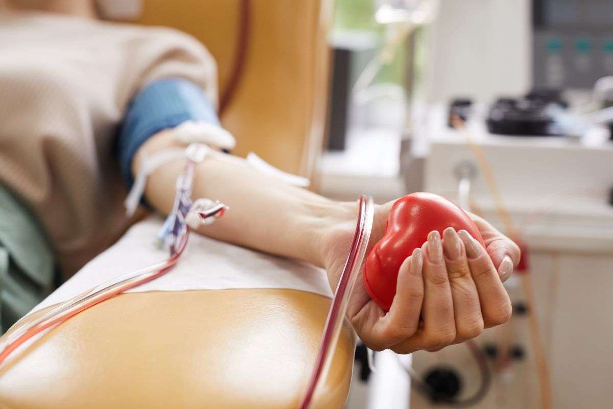 Hemocentro Nacional Ofrece Apoyo y Llama a Donar Sangre tras Emergencia en Jet Set