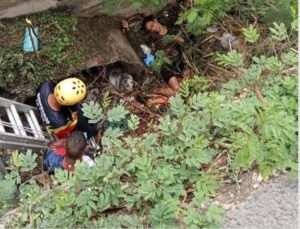 Encuentran mujer sin vida en la autopista Duarte, La Vega