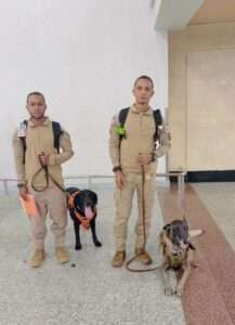 Defensa Civil capacita su Unidad Canina en Guatemala para seguir salvando vidas