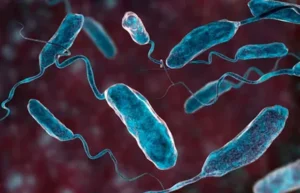 La OMS alerta sobre un aumento del 50 % en los casos y muertes globales por cólera