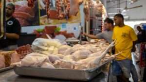 Sector avícola dominicano produce más de 750,000 pollos y 10.8 millones de huevos cada día