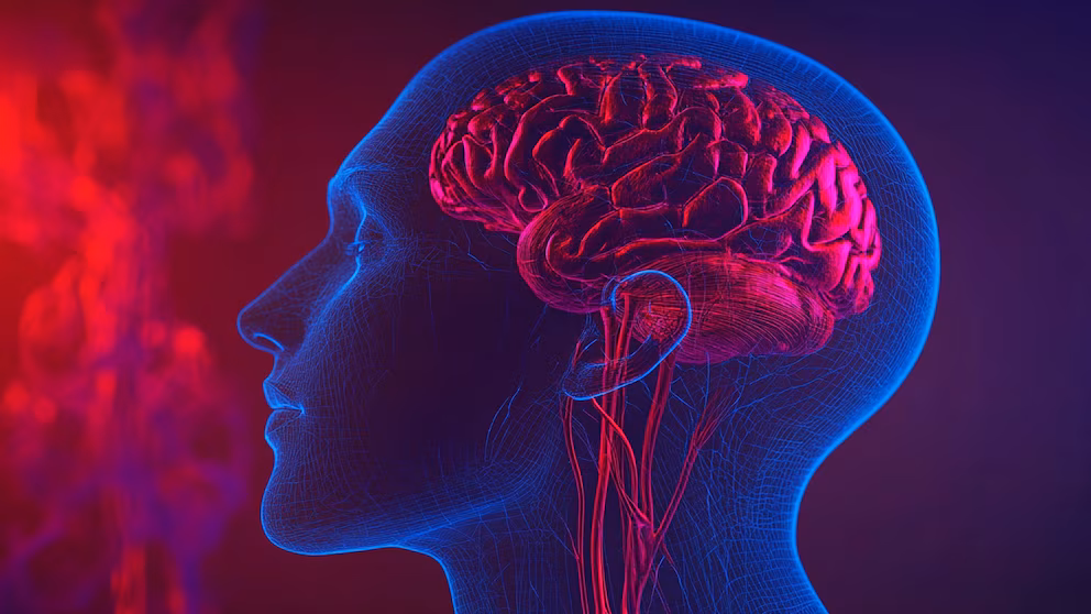 El nutriente olvidado que influye durante la salud mental en la menopausia