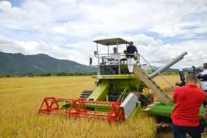 Cosecha de Arroz 2025: Un hito histórico que marca “un nuevo récord” en RD