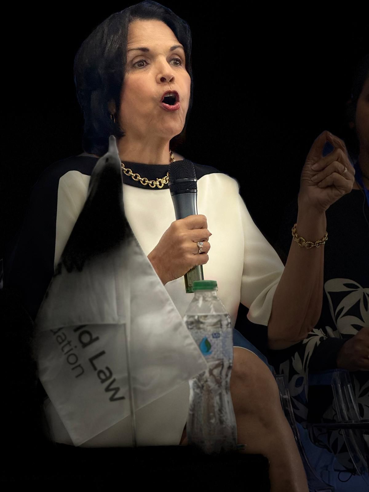 Minou Tavárez Mirabal llama a reforzar la justicia internacional y los derechos humanos frente a desafíos globales