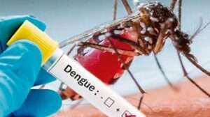 Dengue, gripe aviar y Oropuche: las enfermedades que encienden las alarmas de la OPS en América
