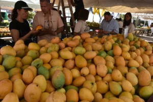 Inicia en Baní la 21 versión de la Feria Expo Mango 2025