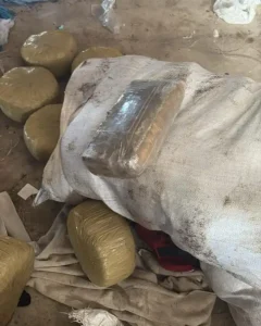 DNCD incauta 1,303 libras de presunta marihuana