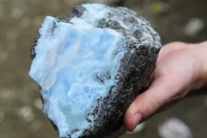 Larimar genera más de RD$800 millones en exportaciones en primeros seis meses del año