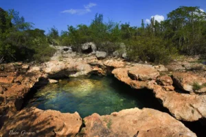 Los Cenotes del Jaragua: el tesoro oculto de aguas turquesa en Pedernales