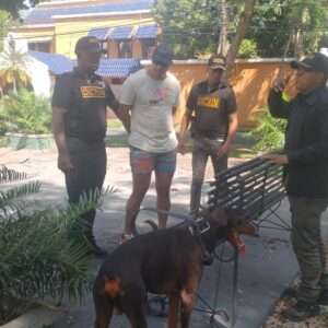 Arrestan a hombre acusado de lanzar un perro desde el piso 11 de una torre en Bella Vista