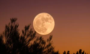 Todo lo que hay que saber sobre la luna de esturión y cómo verla