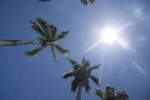 Cielo mayormente soleado y algunos incrementos nubosos en la tarde con aguaceros locales