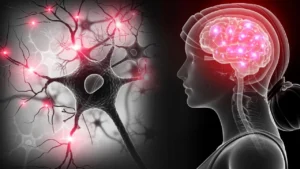 La esclerosis múltiple podría desarrollarse hasta 15 años antes de los primeros síntomas