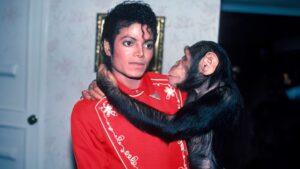 Qué pasó con Bubbles, el chimpancé de Michael Jackson