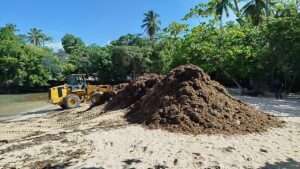 Río San Juan: continúa operativo de limpieza de sargazo tras paso de huracán Erin