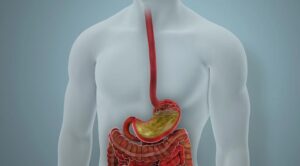 Infecciones por C. Difficile: Lo que debes saber sobre esta bacteria intestinal