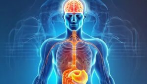 Dieta específica reduce migrañas crónicas, según estudio.