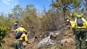 Medio Ambiente abre consulta pública sobre protocolo para emergencias ambientales