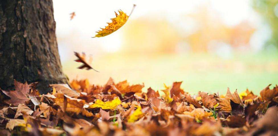 Se despide el verano y llega el otoño