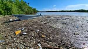 Investigan causas de muerte masiva de peces en el río Soco