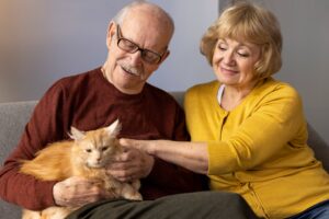 Por qué convivir con gatos protege el cerebro y estimula las hormonas de la felicidad