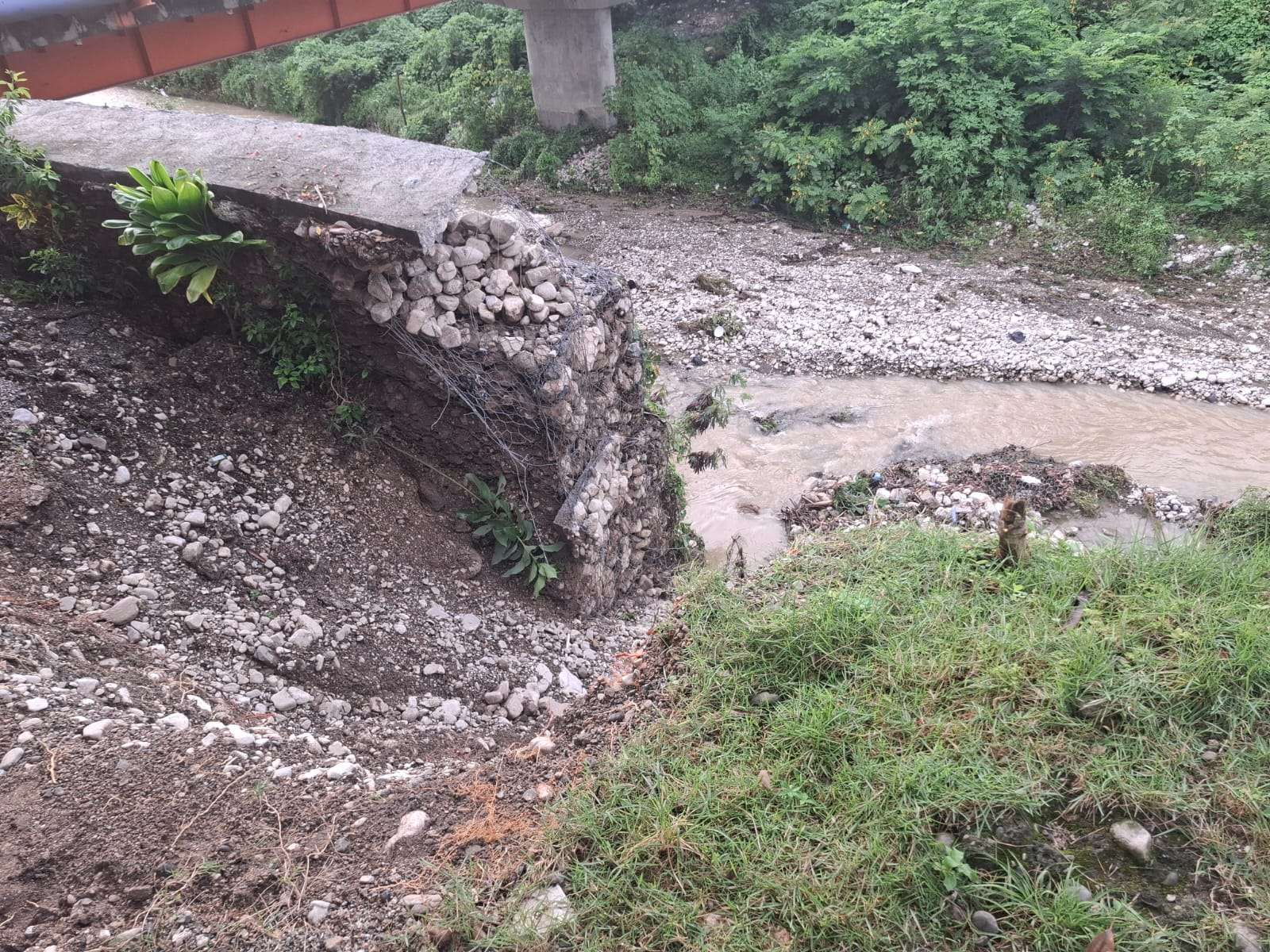 Colapso de muro de gaviones en el río Yubazo afecta viviendas en San Cristóbal